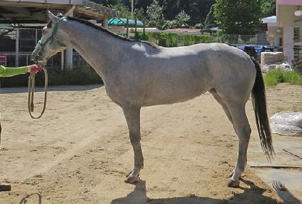 ���괫�� ����