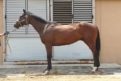 ���� ����