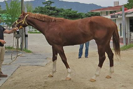 ��ȣ�� ����