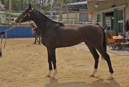 �Ŀ���ǳ ����