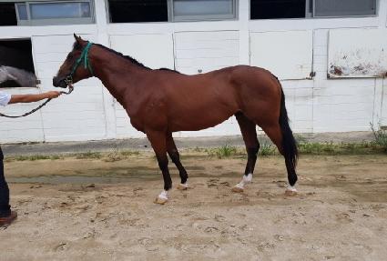 ũ���ŷ��Ÿ ����