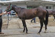 ��Ʈ��ŷ (ULTRA KING) ����