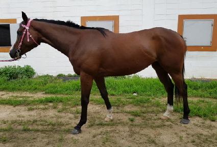 ��ũ������ ����