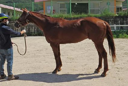 �򷹵� ����