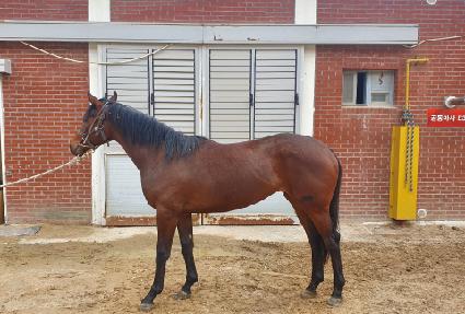 �۽�Ʈ���� ����