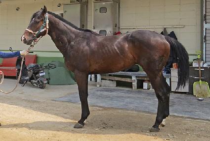 �����Ŀ� ����