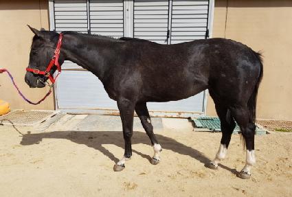 �������Ǿƴ� ����