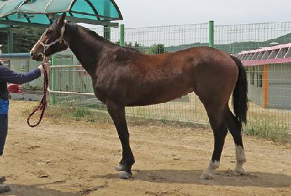 ���Ÿ���� ����