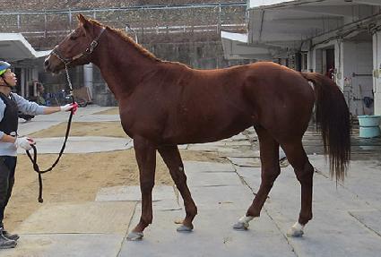 ��糯�Բ��� ����