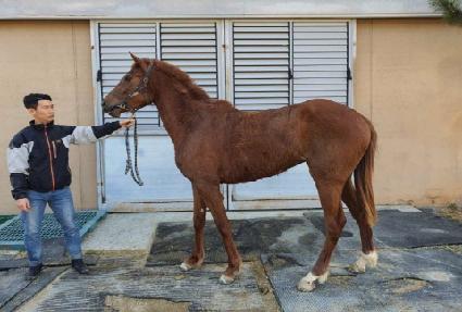 ���ν� ����