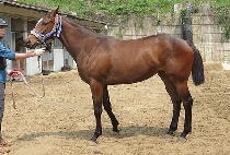 ��´��轺 (RAON THE SOX) ����