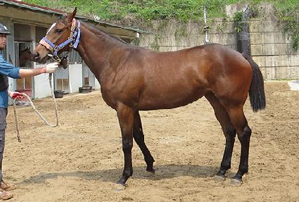 ��´��轺 ����