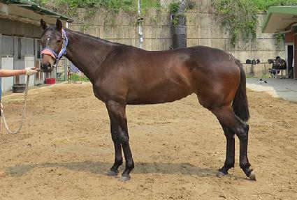 ��¿��� ����