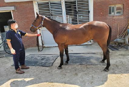 ��´��Ŀ� ����