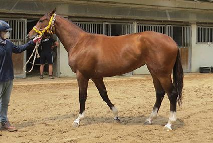 �����ũ ����