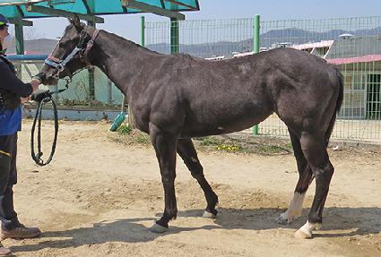 Ȳ���Ŀ� ����