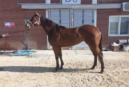 ������Ǭ ����