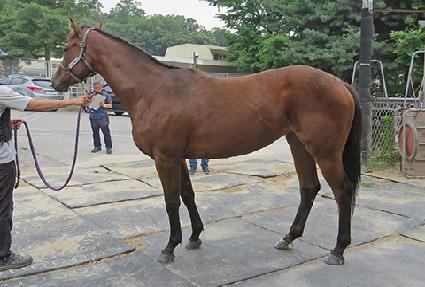 ����Ʈ�Ŀ� ����