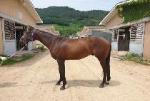 �������� (MUJEOK BULPAE) ����