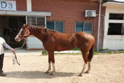 ��ȭ�ô� ����