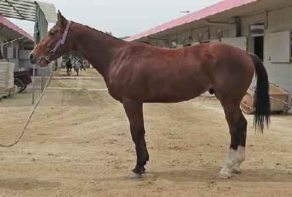 �����̽��� ����