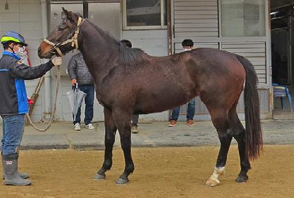 �����Ʈ ����