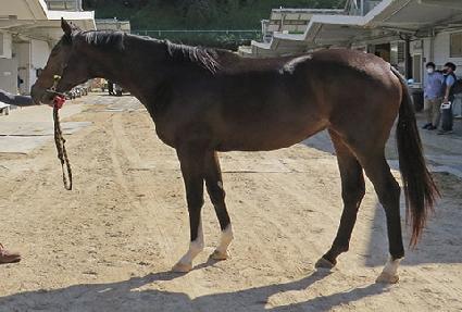 �������� ����