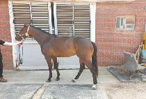 ��Ƽ������ (BEAUTYLIFE) ����