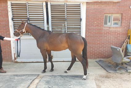 ��Ƽ������ ����