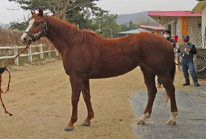 õ��Ĺ ����