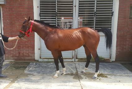 ����Ǯ���� ����