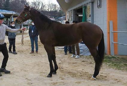 ������ ����