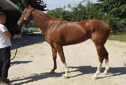 ���︶�� ����