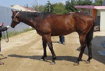 �������Լ� (MAGICUI HAMSEONG) ����