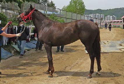 �������߾� ����