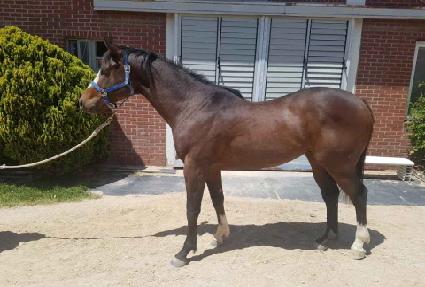 ���̴����� ����