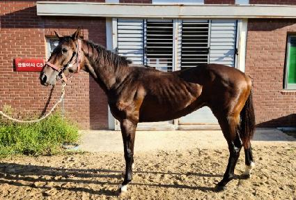 ������û�� ����