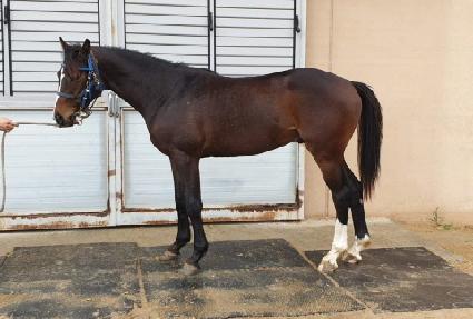 ��������Ƽ ����