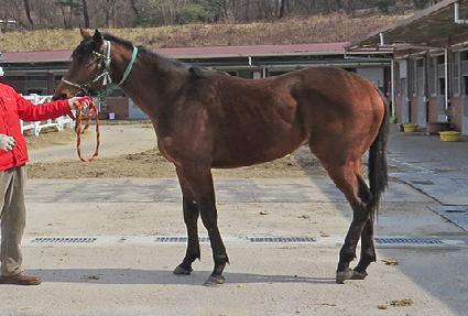 ������ ����