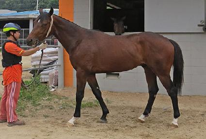 õ�ռ��� ����