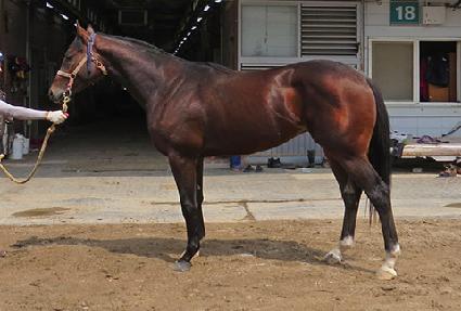 ���̿�Ư�� ����