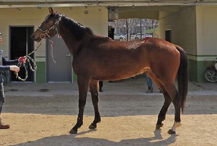 ���׷��� ����