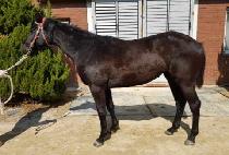 �����̺����� (B.K. BLESSING) ����