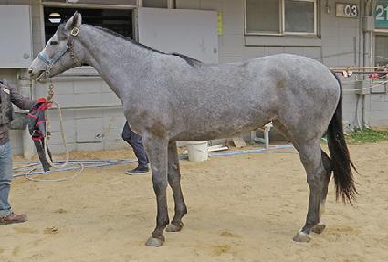 ��� ����