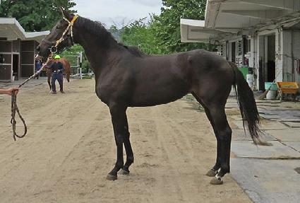 ���ũ���� ����