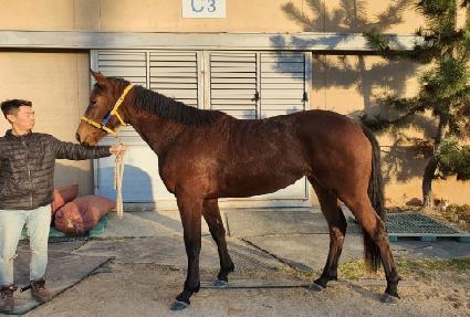 �׷������ ����