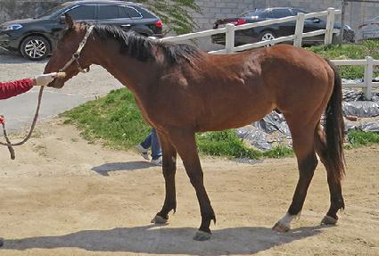 �̽�Ʈ����Ʈ ����