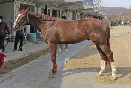 ����Ǯ���� ����