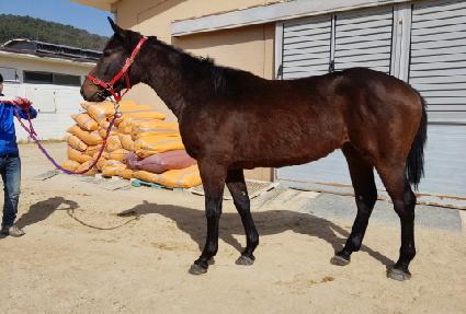 �����Ŀ� ����