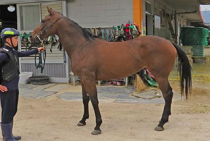 �������ڵ� ����